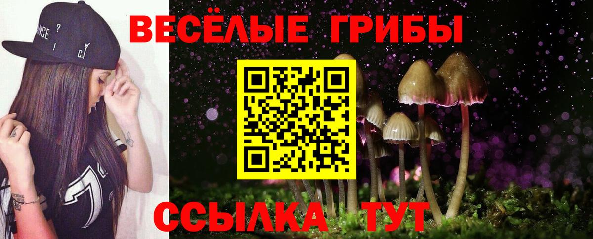 Галлюциногенные грибы ЛСД  Вход с VPN  Солнечногорск  Галлюциногенные грибы GOLDEN TEACHER 